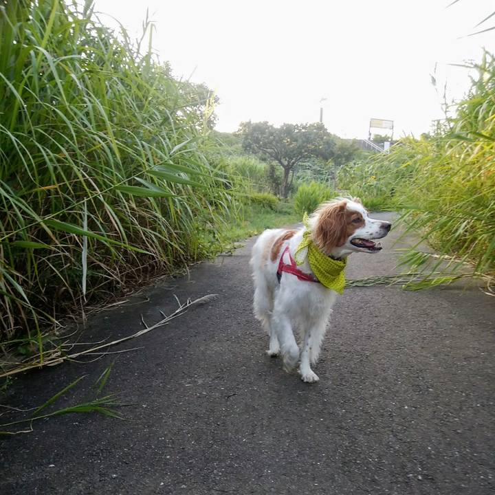 48627f14 e9d0 4263 a8ed 7f5635bf3416 1566042203060