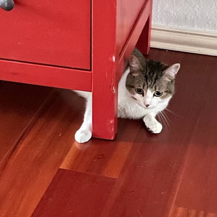 4862810b 115a 4644 8982 a0528b6982a5 1695507759294