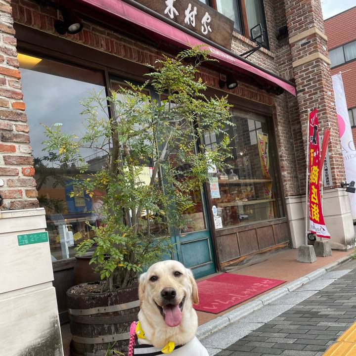 48630802 a792 4eea a7df c2942263ef90 1650240563106