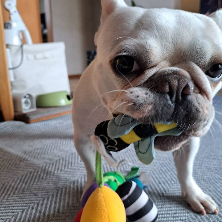 48632f2c 9d16 48a9 afb4 0782c268c2f2 1698359108751