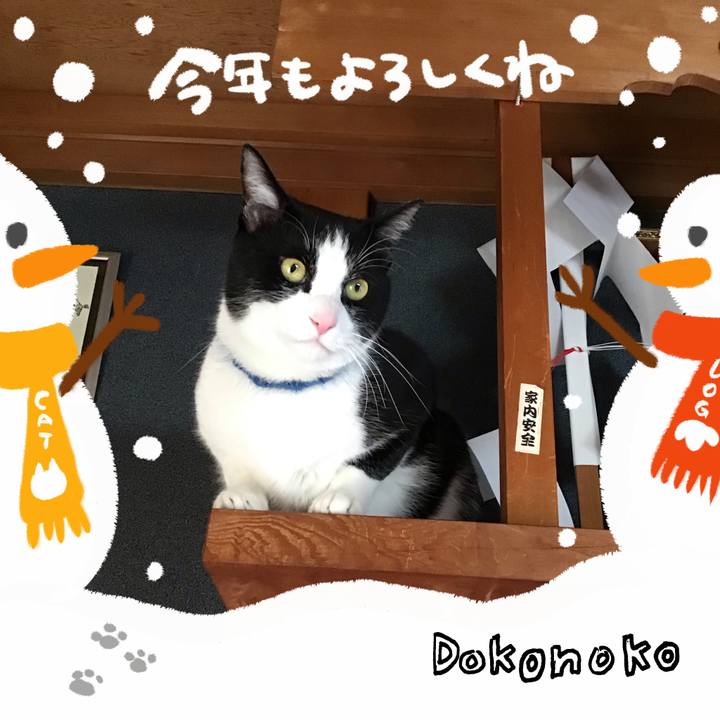 48635dcb a466 46b0 b802 eae2dd4c5232 1704188515575