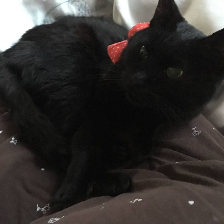 48636896 2c72 4627 888e cb9e1a264de0 1551215653266