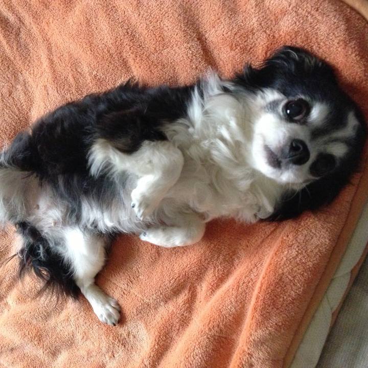 48639edc 2690 4f32 8f75 d90097bef762 1510147324597