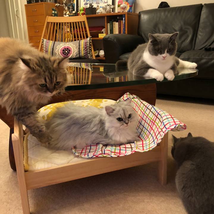 48639f73 4940 40fd ba9f 98f6021de59c 1536078024532