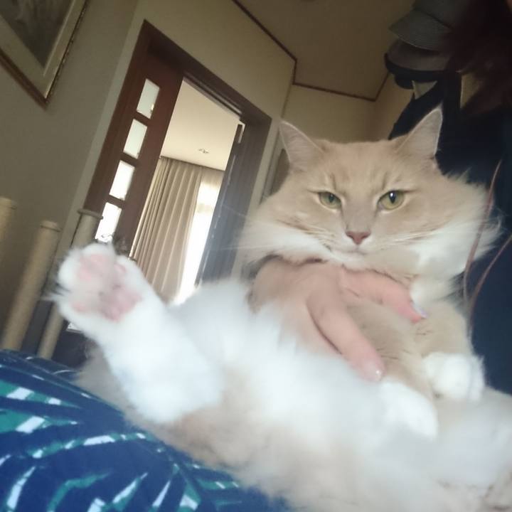 48642b47 9ea5 46c1 8dcc 76be0c8b2090 1535029556598