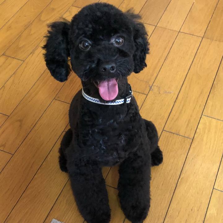 48644d9e 45da 42e8 bc54 79ffb46fc656 1538863407785