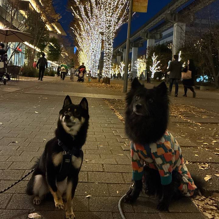 48648283 919b 4e98 aa01 7a0ddf169161 1765151602496