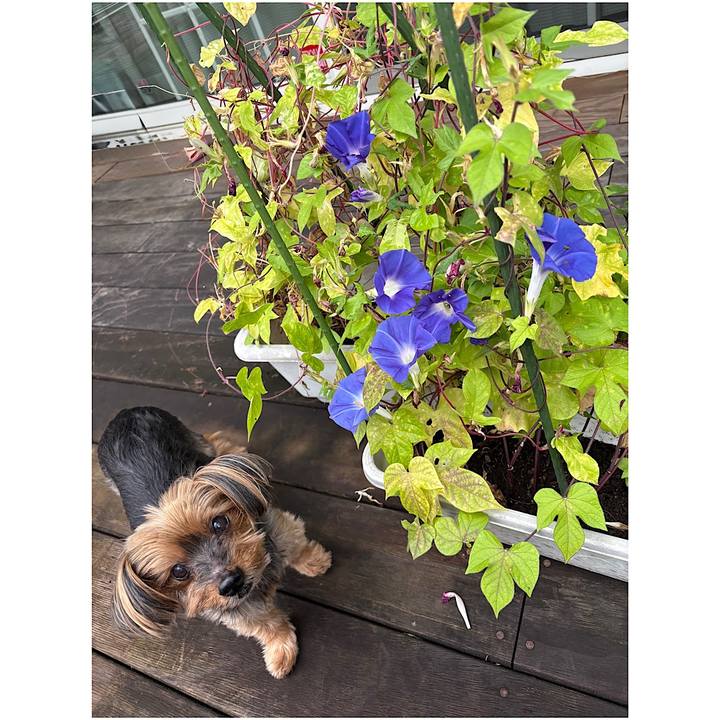 48649e40 4ad7 45db b3e5 990dba208eaf 1758923819977