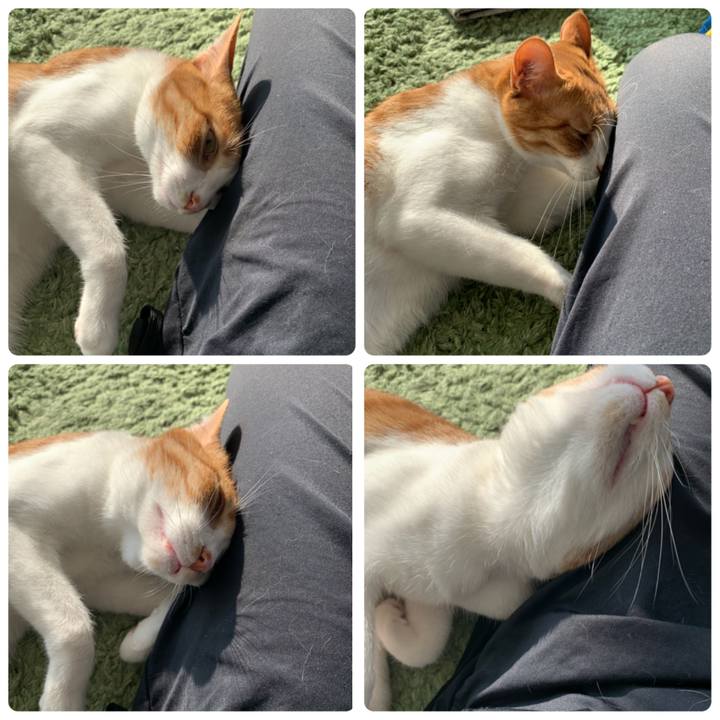 4864c058 c847 494f 8e66 8c83686eab9c 1588456634588