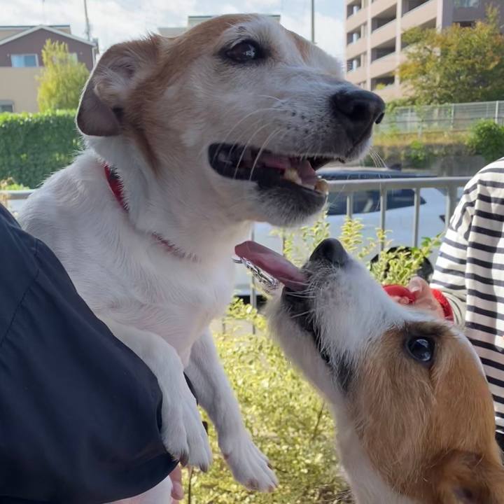 4864cee6 acb9 4ec5 a492 697624771a02 1730716640532