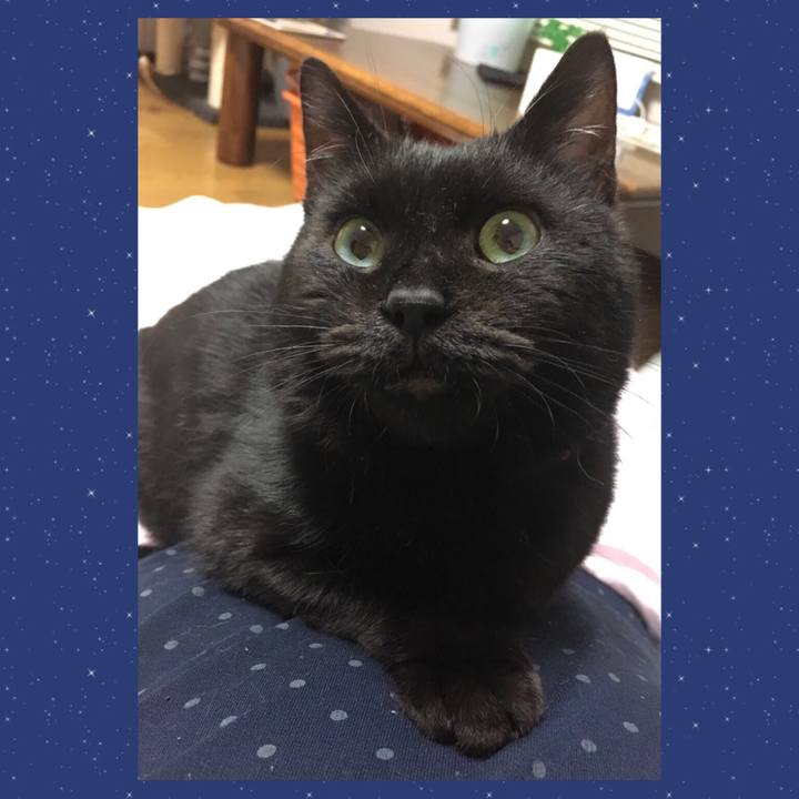 4864e7d9 04fa 4ff8 bf31 27851d8a7e5d 1597285767339