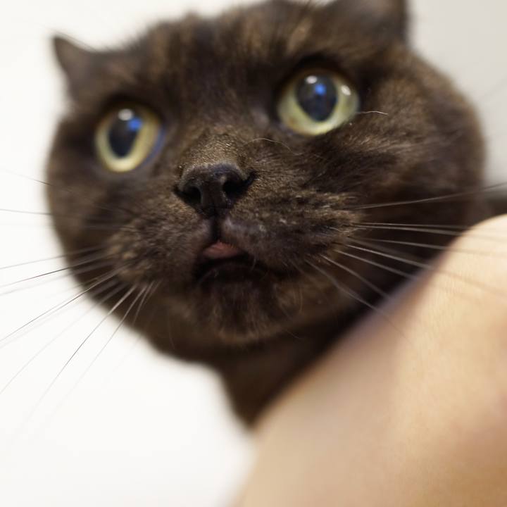 48650b15 2e24 4f3d b0d9 fb2a37d4a262 1629195655829