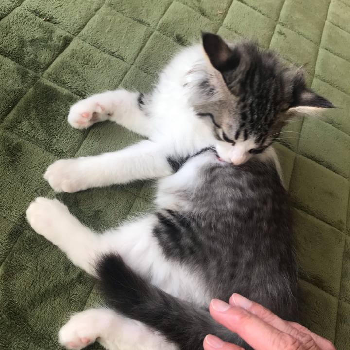 4865191f 45cc 4618 ac3a d92fa57e9806 1574492654790