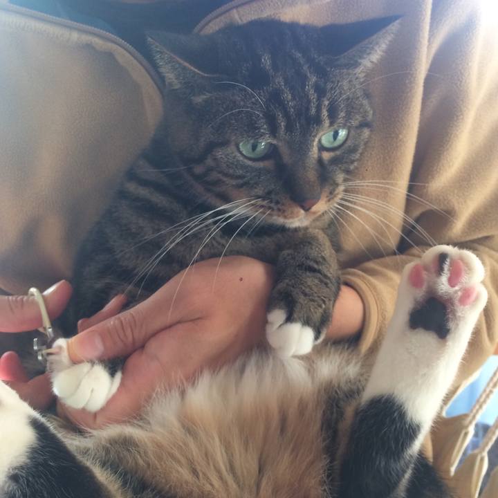 48653dc6 8b1f 499c bced a278eae6fb1f 1544917301198