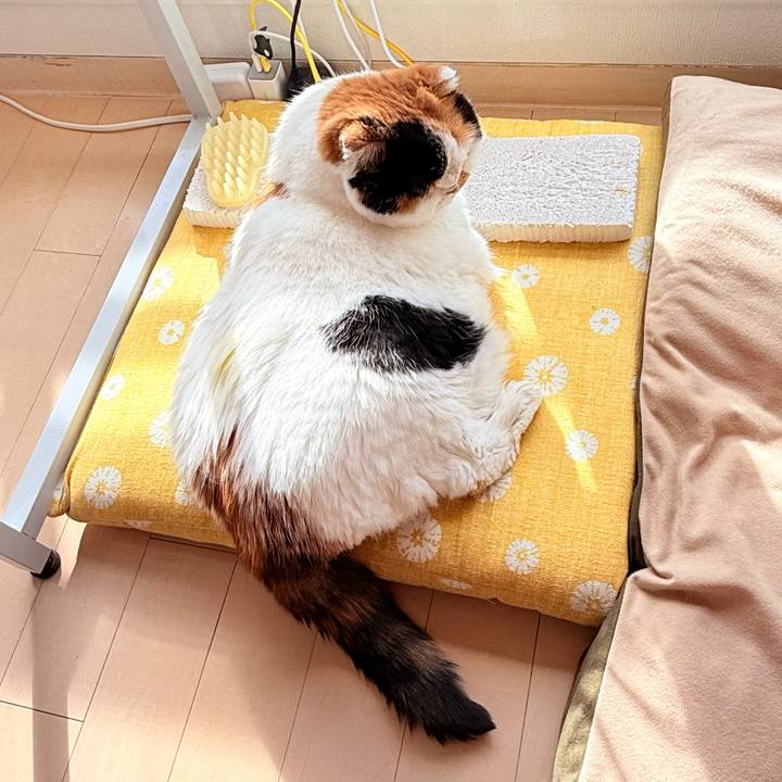 48653e8f ed7d 4d81 8984 cc537d782127 1761525371540