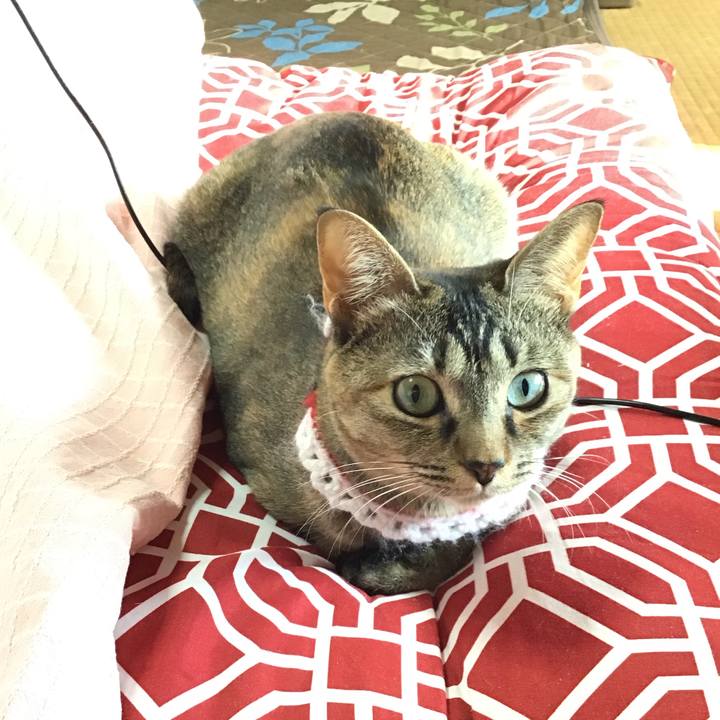 48654714 6fd9 42c8 939f cc8bf7a8fc5d 1609300113934