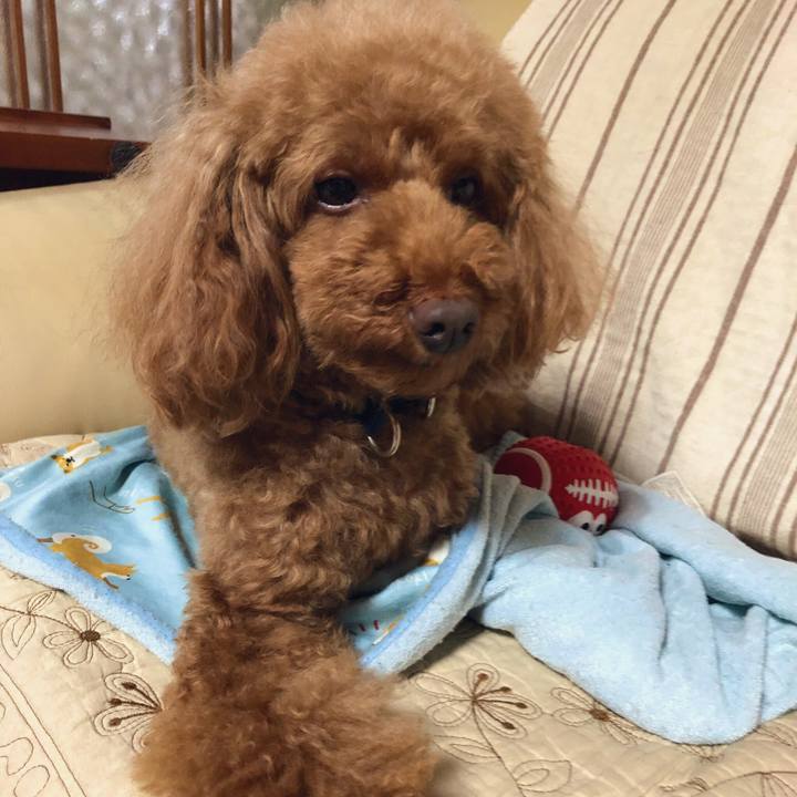 486559f2 ae88 49a2 b77a 8aee0afc17dc 1561885497577