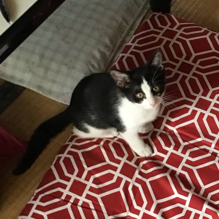 486562a6 1bb5 4efa affd 72eb2ccd50ed 1626055441108