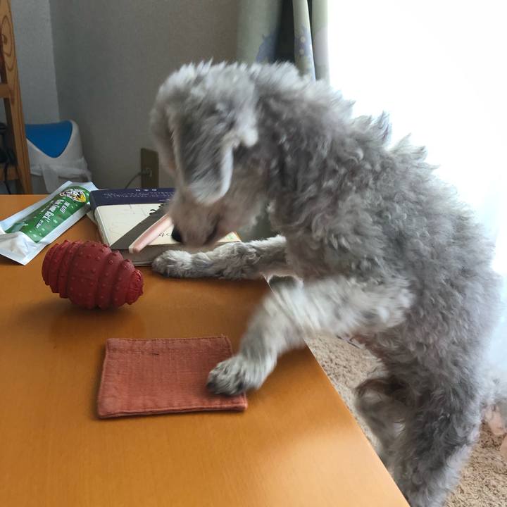 486568d1 da7c 4896 8107 b75330a7a4d1 1640650637448