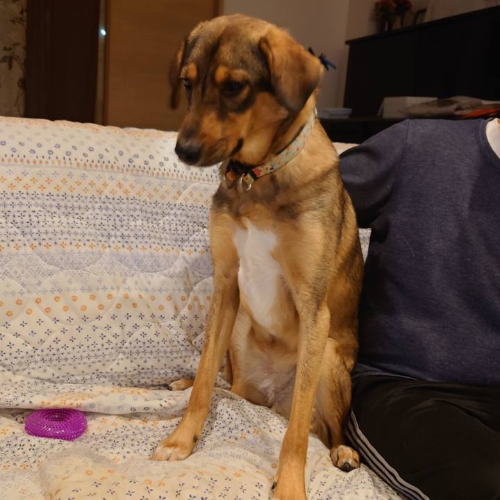 4865723f 943c 4960 8d0e 51ab9445520b 1710579621975