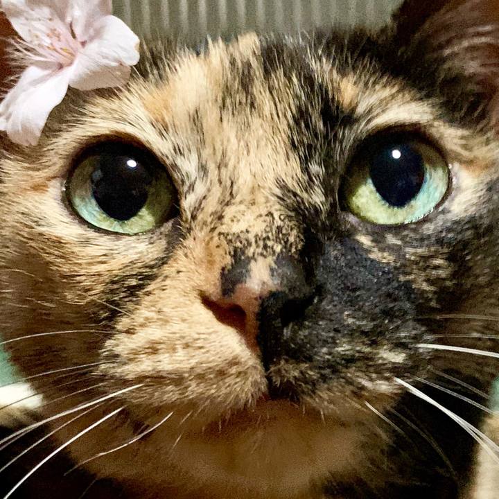 4865c893 cba4 48f8 8f31 31dd515ed24a 1558167662081