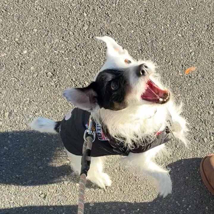 4865cfd7 d143 4804 b263 62b4252c7de1 1767918223544