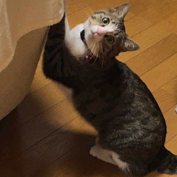 4865daaa 20d0 4247 8e9d 47a4fe36608a 1685156656761