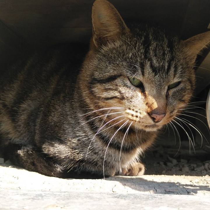 48661efa decd 4240 801b d4a4e8d4dfb0 1605582447498