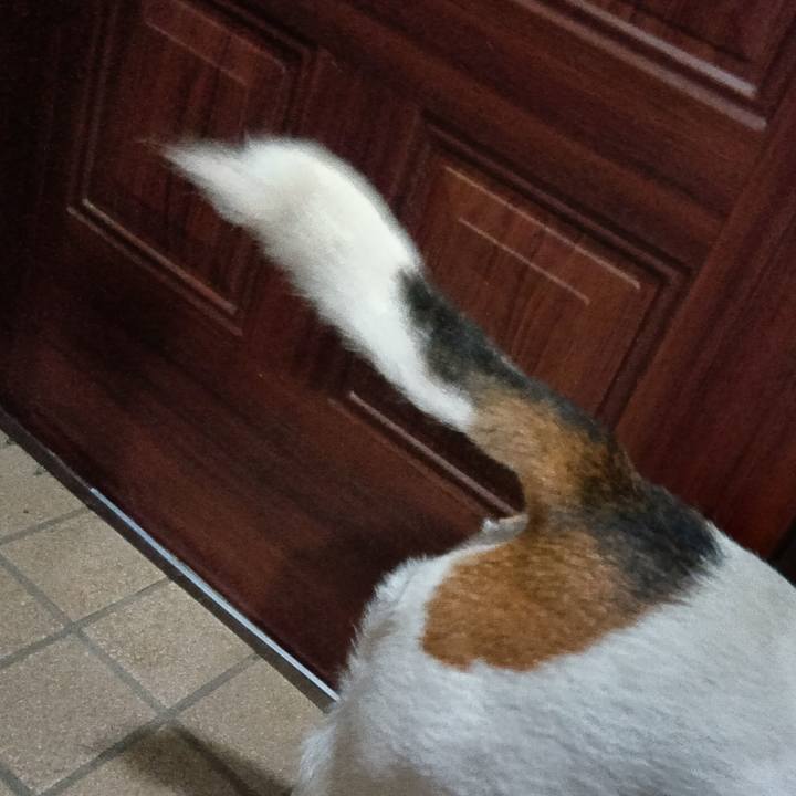 48663e3f 7f94 405d 90a1 11df729e75e1 1721386471203