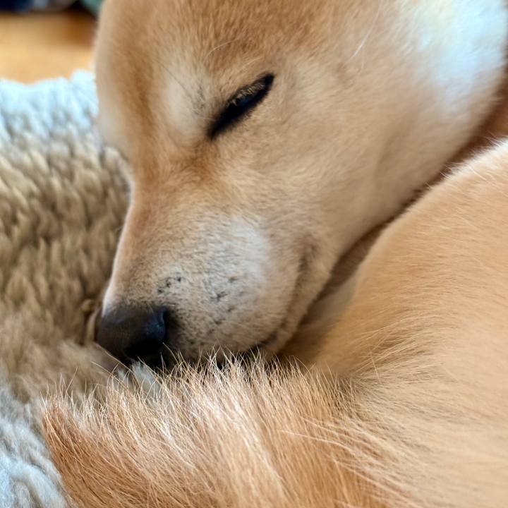 48665894 d88c 4cee aca6 f3a6a3b076d9 1772943555645