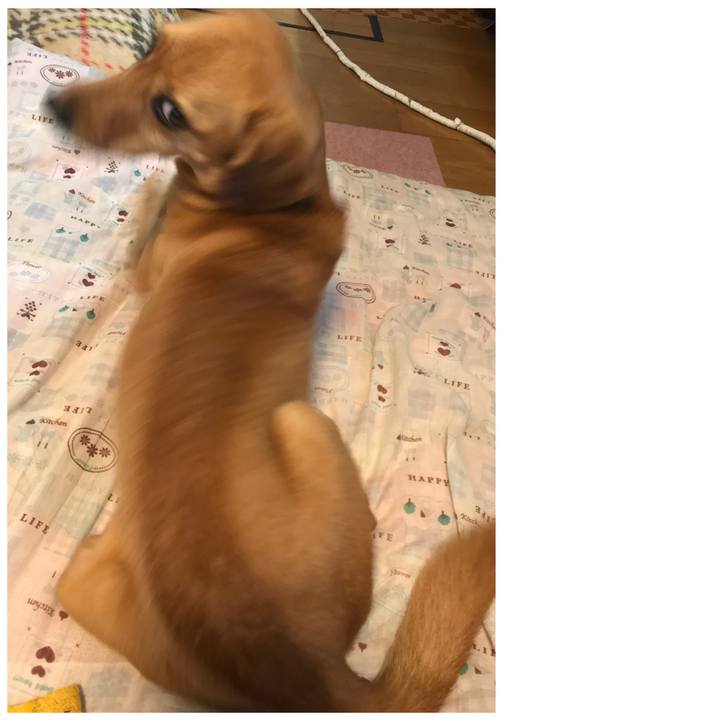 48666b8c 30f1 4c47 9e4f 5f9972efb202 1530747205854