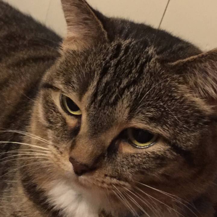 48669e90 696f 4b28 a6b7 087d5b82d81d 1564506003855