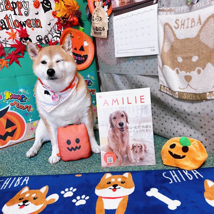 4866a7aa cc3a 4532 902f 3b9468f31506 1709104187696