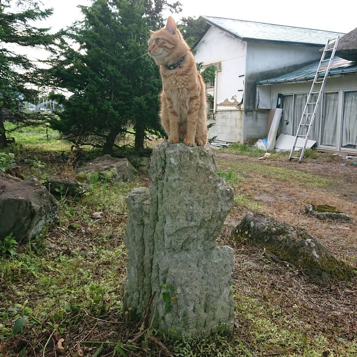 4866df3b 0e46 4701 a2f9 e062432c35e5 1658391790010