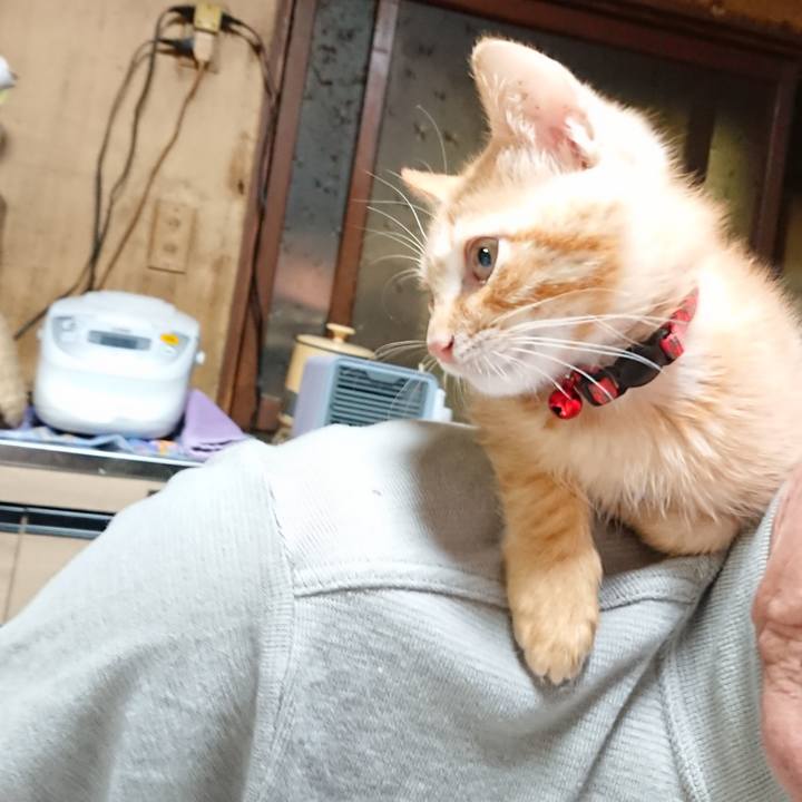 4866fb81 955e 4a21 b880 0afa57436d77 1631009371241