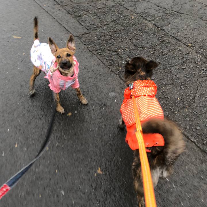 4867059b 6bcb 419b 9c3c 96fcbab344e3 1569749114760