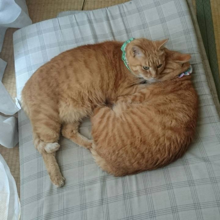 486718c4 05af 4598 96d6 08192a44184f 1524182247759