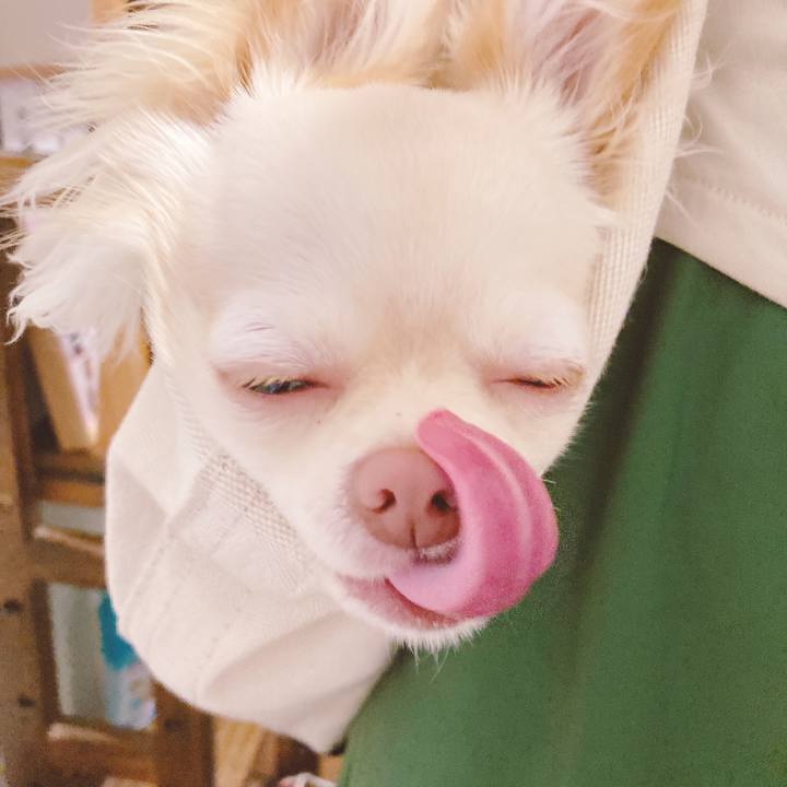 48671a65 cd75 4dfb 8ac1 de2b71ca80be 1626489326260