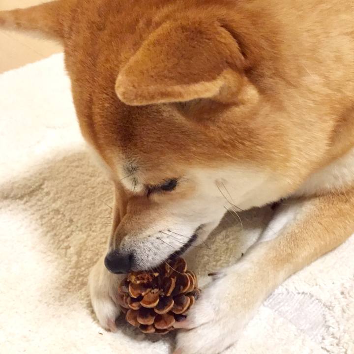 48672f24 155b 4d9c 8db0 398fa1625b73 1517917069742