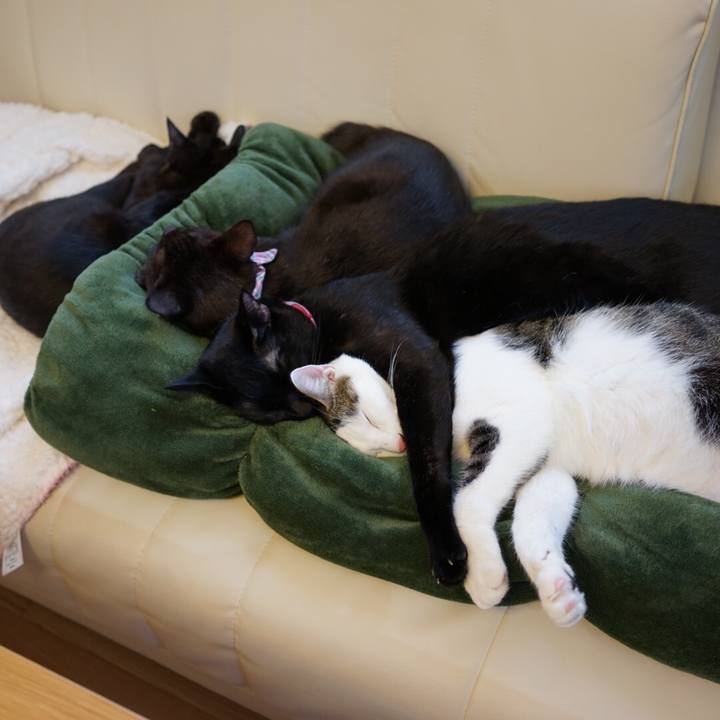 48675adc fab5 4216 aecb f7f93cdd1731 1510462596261