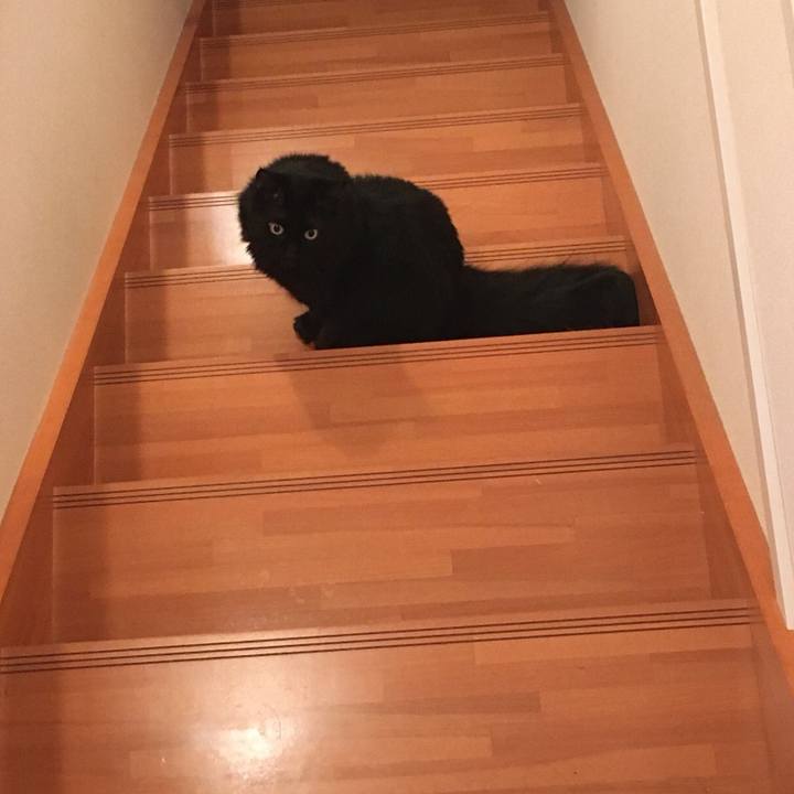 48678564 3aba 497c 8b8a 63e87b8cfd72 1517191072660