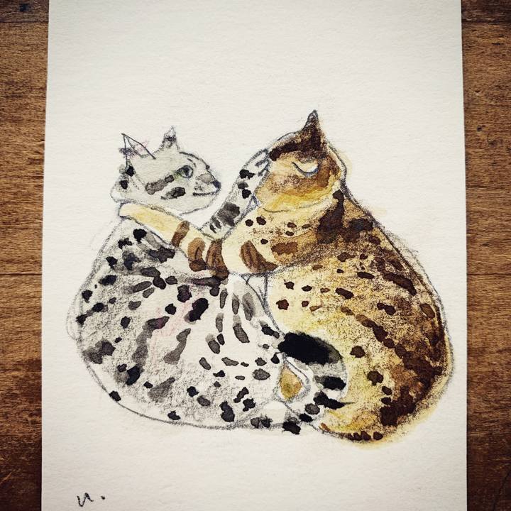 48679ddc 4043 450b be32 be35bc1522c3 1611815722045