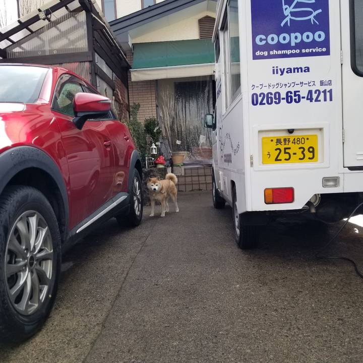 4868593d 6df6 432e ad78 39724becdb07 1678412630739