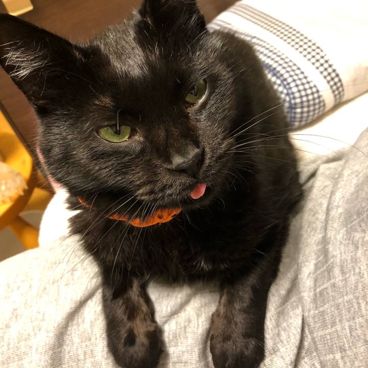 48686d0d 885c 45aa 8e0d 329d5d2a031c 1570884814419