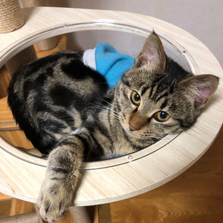 48687840 b10a 4433 b0f2 0486afc4020b 1740224848381