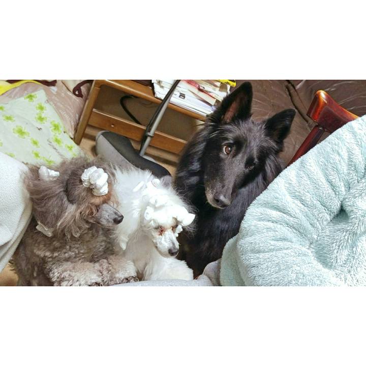 486878fa 4087 4f22 a48d 413d8248cea6 1512806352940