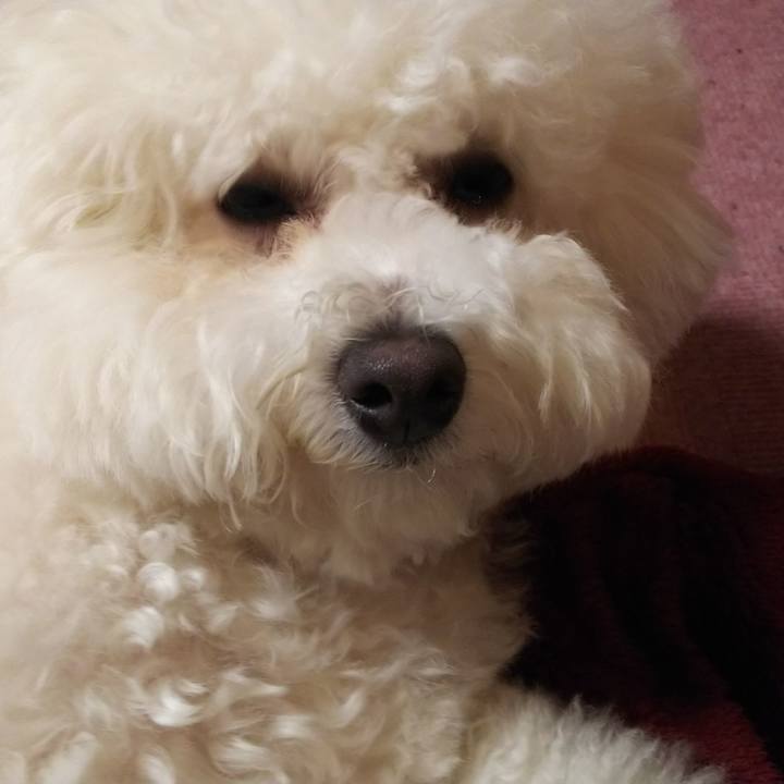 486881ad cfb7 4ffc b3f7 49fb2609b369 1523936855701