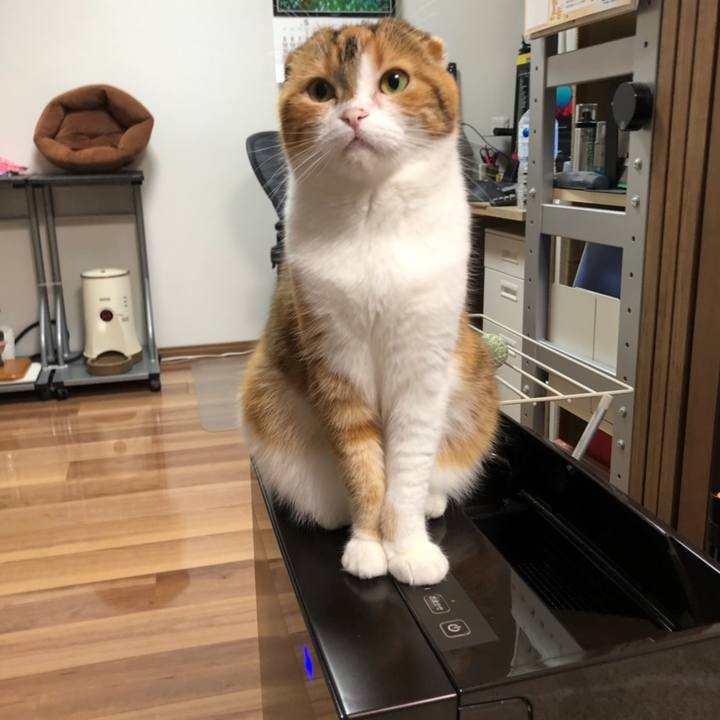 4868da56 2acd 4624 a707 e789620adc19 1558445900667