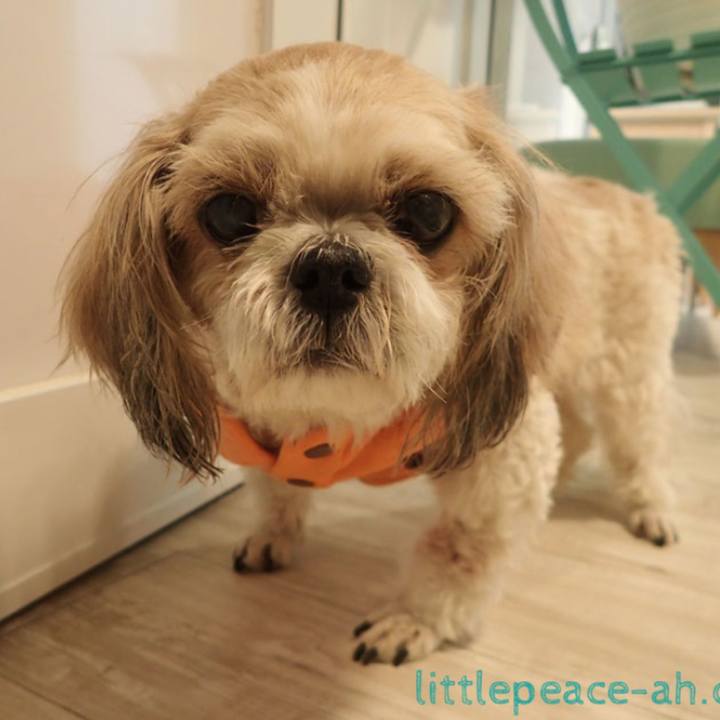 4868e2c5 0161 4986 806c 87f6527ed9fb 1540100414805