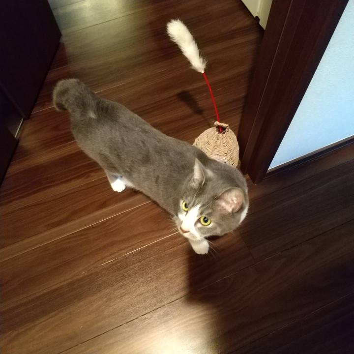 48690203 2ccb 498c 8670 14ff818734ed 1647208880061